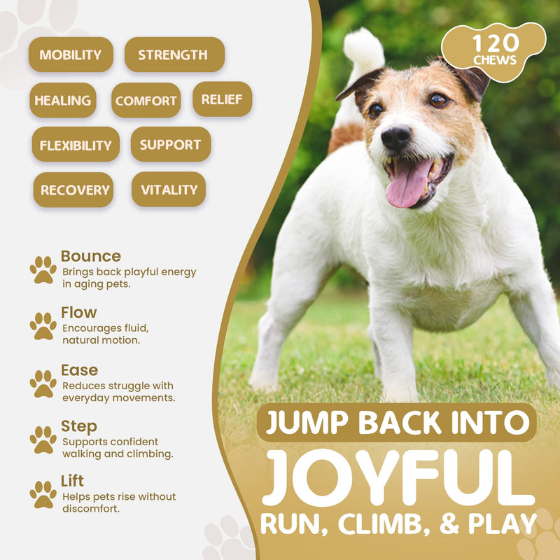 HIP and Joint Chews – Dog Joint Supplement with Glucosamine, Chondroitin & MSM – Supports Cartilage, Hip & Joint Health – Soft Chews for Senior & Adult Dogs – 120 Chews, Natural Beef Flavor