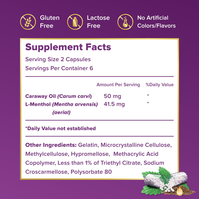 FDgard Gut Health Supplement, Indigestion, Nausea & Bloating, Upset Stomach, 12 Capsules 12 Count (Pack of 1)