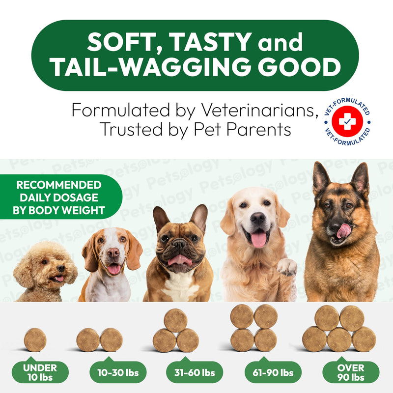 Glucosamine for Dogs - 250 Chews with Chondroitin - Hip and Joint Supplement with MSM - Turmeric - Omega 3 - Joint Pain Relief - Advanced Support for Dog Health - For Large, Medium & Small Breeds 250 Treats
