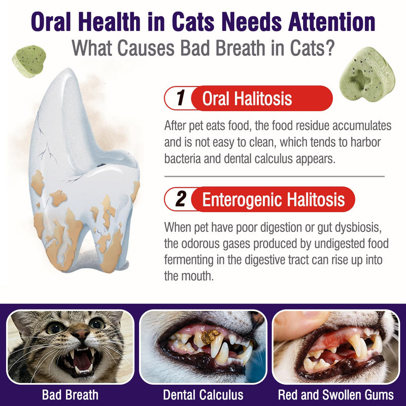 Cat Dental Treats for Bad Breath, Tartar & Gum Support, Breath Freshener Cubes for Oral Health Support, Feline Kitten Oral Care Cat Dental Chews, 1.41oz/40g 40g