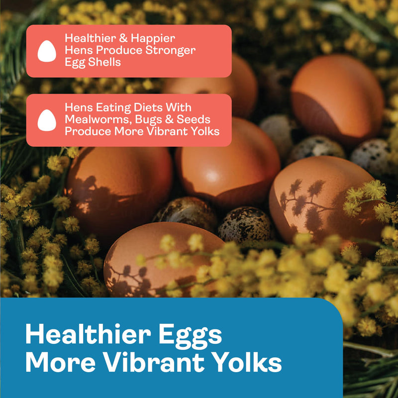 Hippy Chick Immuni-Guard + Omega Booster Bundle – Chicken Immune Support, Probiotics & Prebiotics, Omega-3 Egg Laying & Feather Health Supplement – Natural Poultry Treat & Flock Wellness Pack