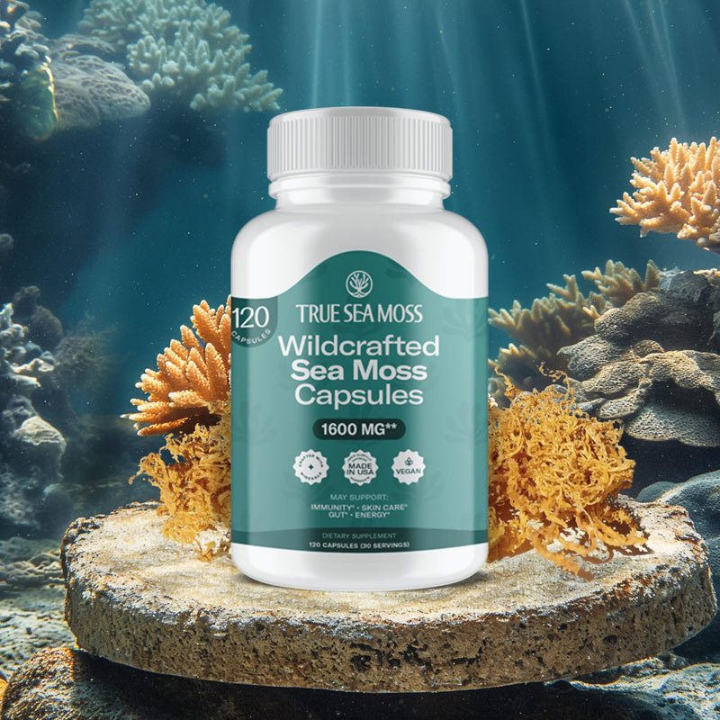 TrueSeaMoss Irish Sea Moss Capsules – 1600 mg – 120 Capsules, 30 Portions | Fruit Extracts Superfood for Overall Wellness – Supports Immune Health Naturally – Essential Vitamins and Minerals SeaMoss 1 Count (Pack of 120)
