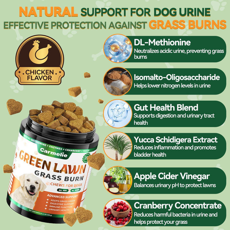 Lawn Spot & Flea Chews for Dogs - 200 Each - Flea & Tick Prevention with Skin Support + Grass Burn Spot Chews with Probiotics & DL-Methionine - Chicken Flavor