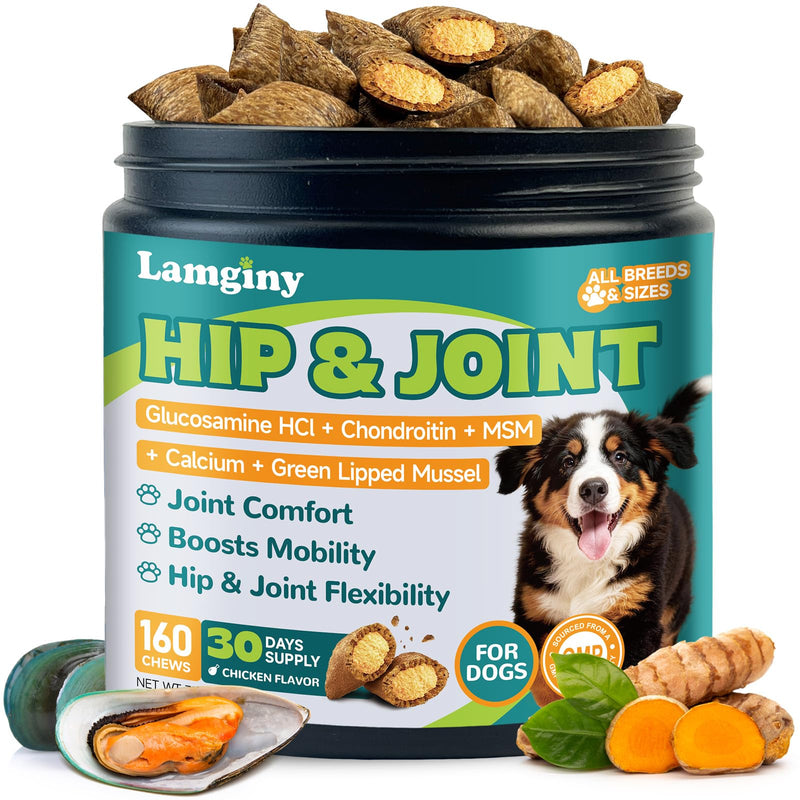 Lysine Supplement for Cat & Hip and Joint Chews for Dogs