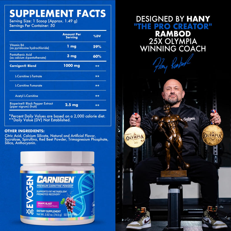 Evogen Carnigen Supports Energy and Metabolism | Grape | 50 Servings | Stimulant-free L-carnitine, acetyl L-carnitine and L-carnitine fumarate with BioPerine, B6 and pantothenic acid