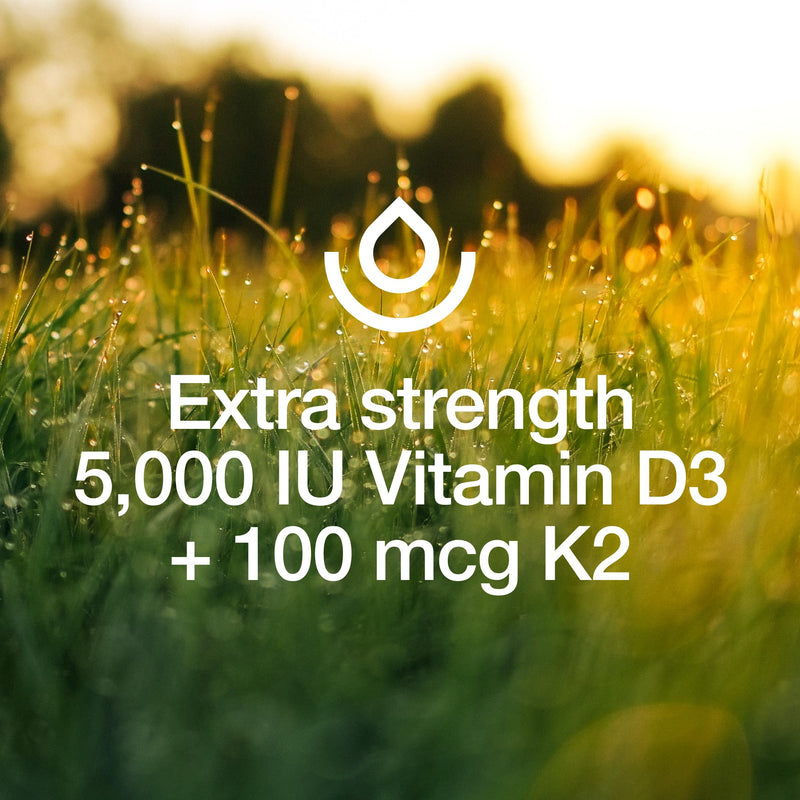 Fresh Nutrition Vegan Vitamin D3 + K2 Capsules - 5000 IU D3 + 100mcg K2 as MK-7 for Optimal Absorption - Immune Health, Bone Health, Mood - Non GMO - 90 Capsules, 3 Month Supply 90 Count (Pack of 1)