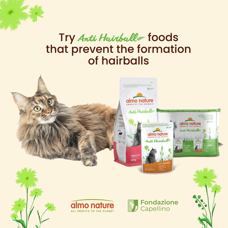 Almo Nature Functional Anti Hairball Wet Cat Food with Beef 70g 2.1 kg (Pack of 1)