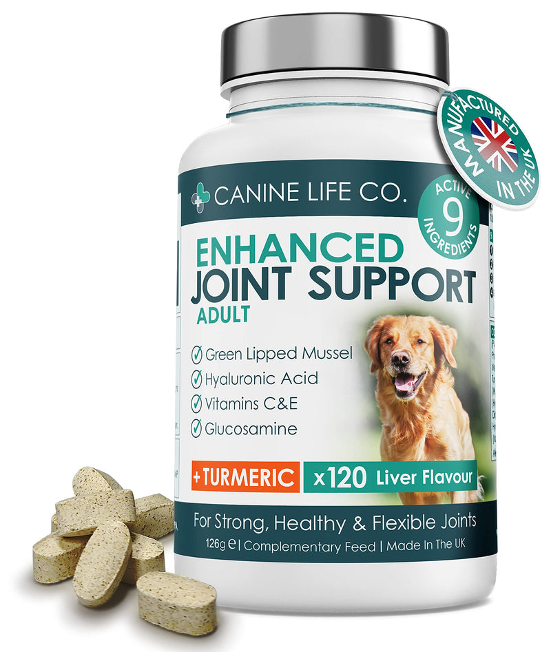 Enhanced Adult Dog Joint Supplements With Turmeric, Glucosamine & Green Lipped Mussel | 120 Chewable Tablets | Made In The UK (1 Pot (120 Tablets)) 1 Pot (120 Tablets)