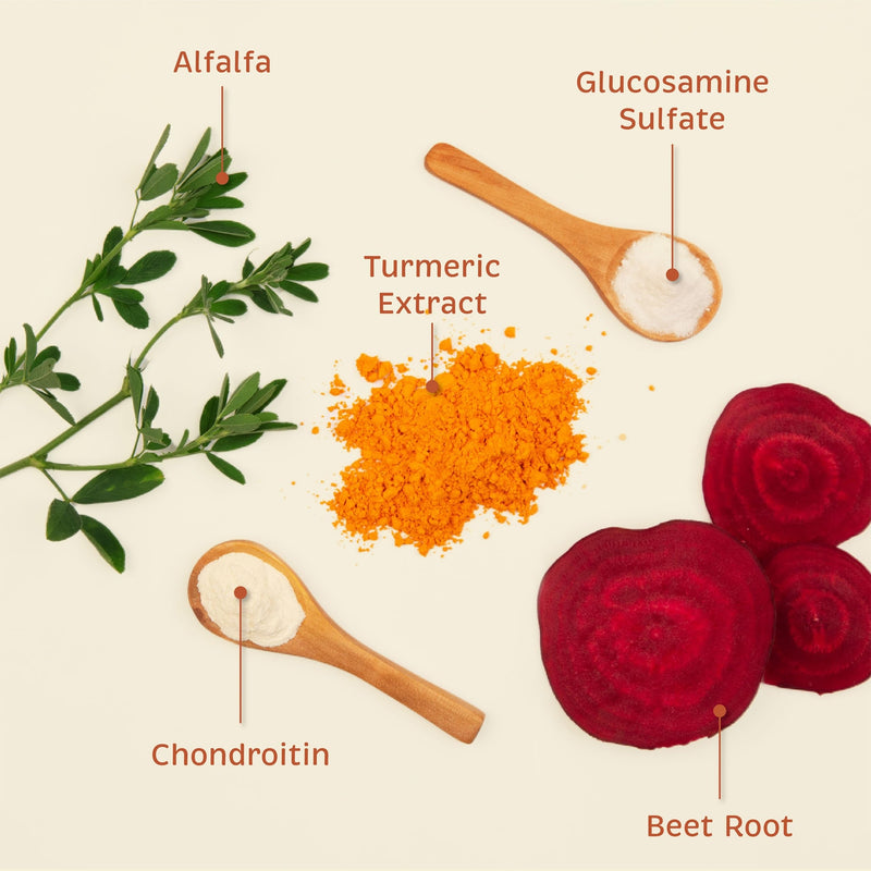 Spirited Paw Joint + Mobility - Joint Support & Comfortable Mobility for Dogs - Beet Root, Turmeric Extract & Ginger - Includes Antioxidants and Vitamins C & E - 100 Chewable Wafers