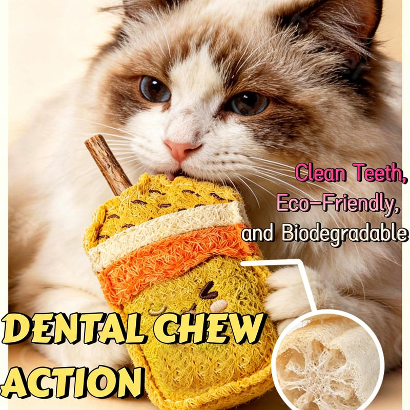 Natural Loofah Cat Chew Toy, Milk Tea Cup Shaped Catnip Silvervine Stick, Kitten Teething Chew Toy, Dental Care Interactive Toy, Safe Eco-Friendly Loofah Teething Toy for Indoor Cats Kittens, Brown