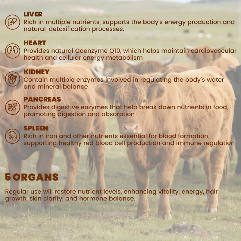 Grass Fed Beef Organ Supplement for Women & Men -120 Capsules - 100% Organ Complex with 3000mg of Desiccated Beef Liver, Heart, Kidney, Pancreas, Spleen - Non-GMO & Pasture-Raised Organ Complex