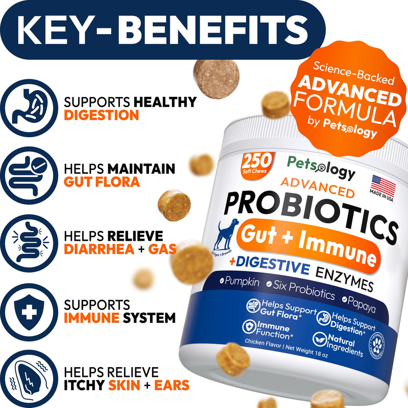 Probiotics for Dogs - 250 Dog Probiotics Chews - Digestive Enzymes & Prebiotics - Support Gut Health, Diarrhea, Gas & Constipation Relief - Itchy Skin, Allergies, Yeast Balance - Advanced Supplement 250 Chews Probiotic Chews
