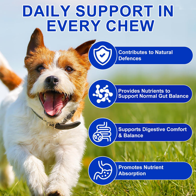 Probiotics for Dogs 150 Chews,Dog Probiotics for Gut Health,Itchy Skin, Yeast Balance and Immune System,Dog Probiotic Supplements Duck flavor