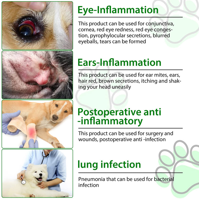 Dog Antibiotics for Skin Infection, Dog Antibiotics, Antibiotic for Dogs, Natural Antibiotics for Dogs Multivitamin Support Immune and Dog Allergy Itch Relief, Pet Antibiotics Supplement, 2 Fl Oz - PawsPlanet Australia