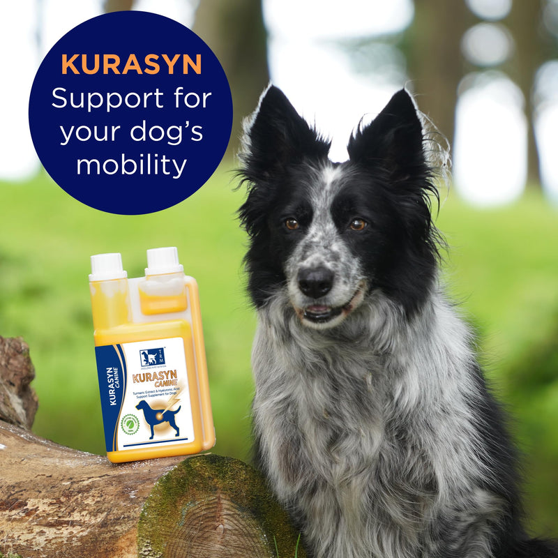 TRM Pet Kurasyn Canine Joint Aid For Dogs & A Food Supplement - Perfect To Maintain Healthy Mobility, During Rehabilitation, Senior And Joint Care (540ml)