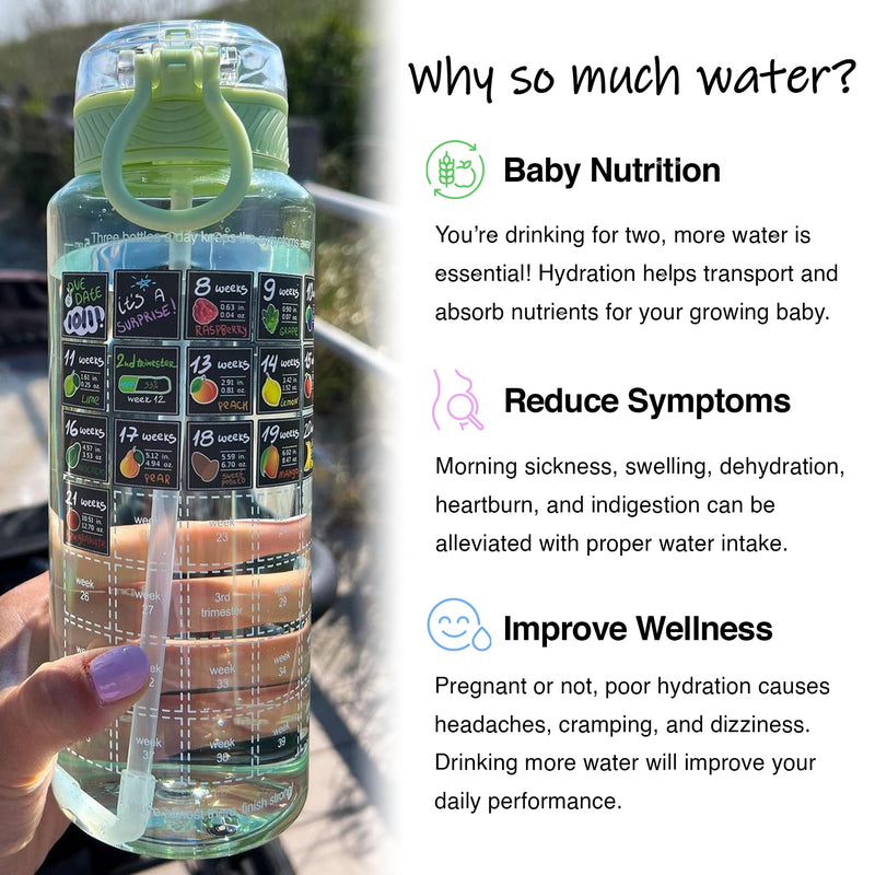 Pregnancy Water Bottle Tracker – Pregnancy Must Haves – Pregnancy Gifts for Expecting Mom – Pregnancy Essentials Nausea Relief – Weekly Stickers + Straw + BPA Free – Green - BeesActive Australia