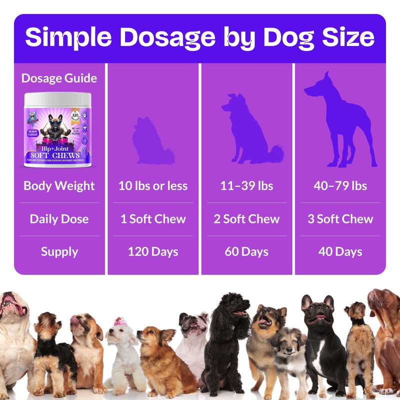 Hip+Joint Soft Chews for Dogs | Salmon Flavour | Daily Support with Chondroitin & MSM | Relieves Stiffness & Promotes Mobility-Perfect for Small, Medium & Large Dogs