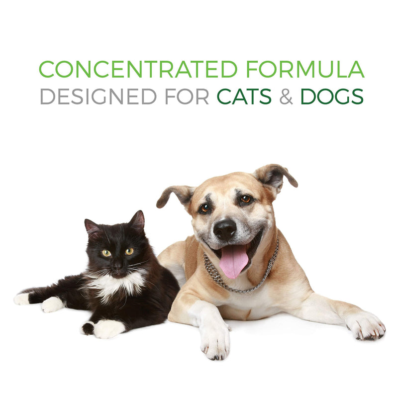 Hip & Joint Health Krill Oil Soft Chews for Dogs & Cats - Rich in Omega 3, 6 & Antioxidants - Benefits Hip & Joints, Skin & Coat - Reduce Shedding & Itching - Made in USA - BeesActive Australia