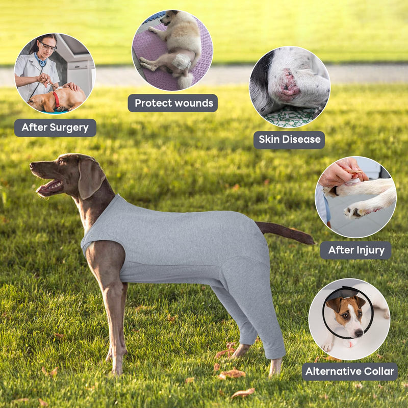MHaustlie Dog recovery cover for hind legs, breathable dog surgical suit with zip, dog elbow bandages protection, E-collar and cone replacement against licking S grey - BeesActive Australia