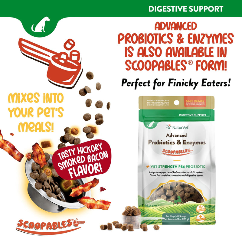 NaturVet Advanced Probiotics & Enzymes, PB6 Dog Soft Chews to Help Sensitive Stomachs and Digestive Issues, Hickory Smoked Bacon Flavored Pet Supplement for Dogs Over 6 Weeks, 70 Count Jar 70 Soft Chews