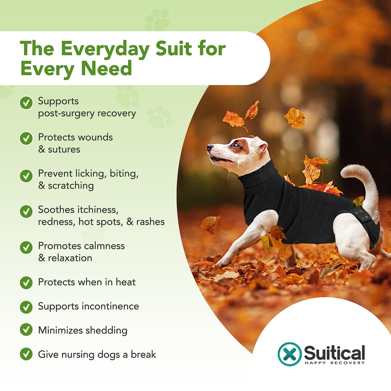 Suitical Recovery Suit Dog, S+, Black S+ - BeesActive Australia
