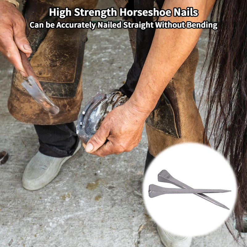 lukar 250pcs E3 Horseshoe Nails 1.8 Inch Stainless Steel Horse Shoe Nails for Stained Glass, Crafts, Horse Training Equestrian Sports E3-1.8inch - BeesActive Australia