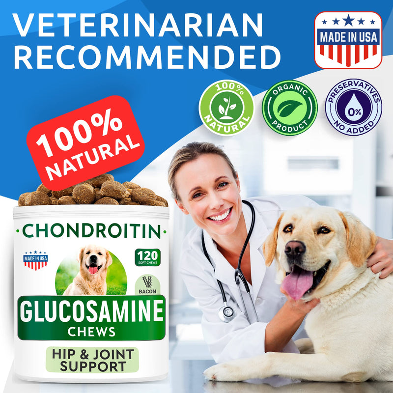 Glucosamine Chondroitin Dog Hip & Joint Supplement - Joint Pain Relief - Hip & Joint Chews for Dogs - Joint Support Large Breed - Senior Doggie Vitamin Pills Joint Health - (240 Treats - Bacon) 240Ct (Value Pack) - Large Dogs - BeesActive Australia