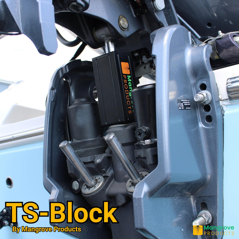 Mangrove Products: Transom Saver Wedge, Outboard Motor Support, Single Ram, Pontoon Boat Accessories Black (1 Block)