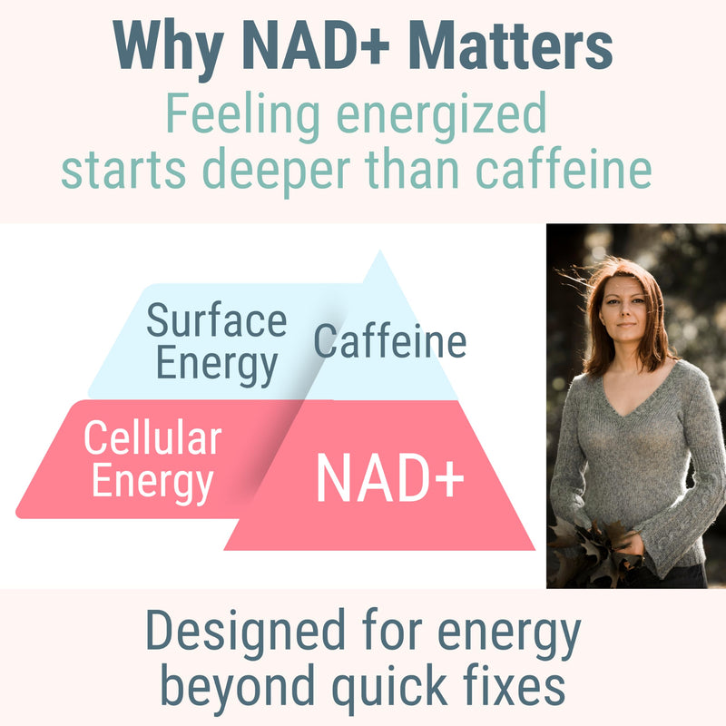 SHIZAM NMN NMNH NAD+ Gummies – NAD Supplement with Reduced Nicotinamide Mononucleotide, TMG (Trimethylglycine, Betaine) & Trans-Resveratrol, Methylated B-Complex