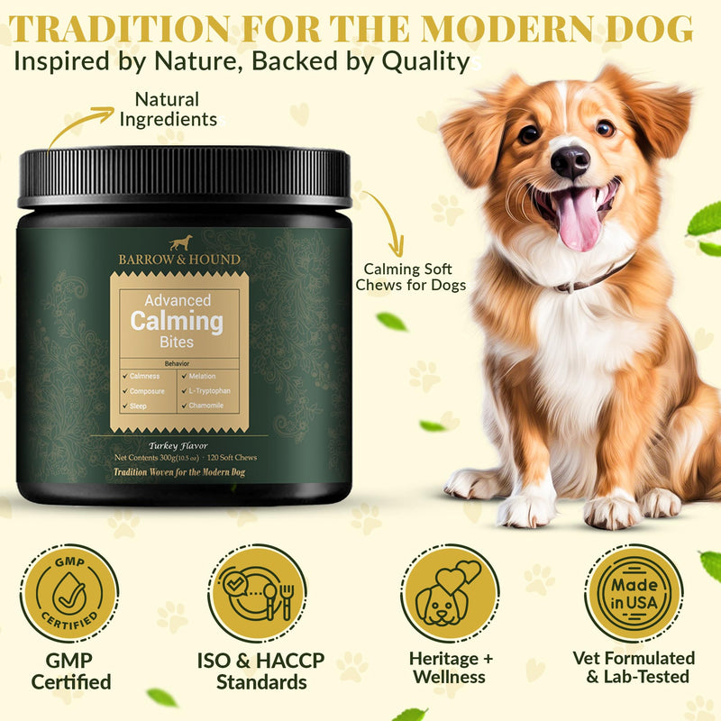 Barrow & Hound – Advanced Calming Chews for Dogs – 120 Soft Chews with Chamomile, Valerian Root, L-Theanine & Melatonin – Turkey Flavor – Supports Relaxation & Composure