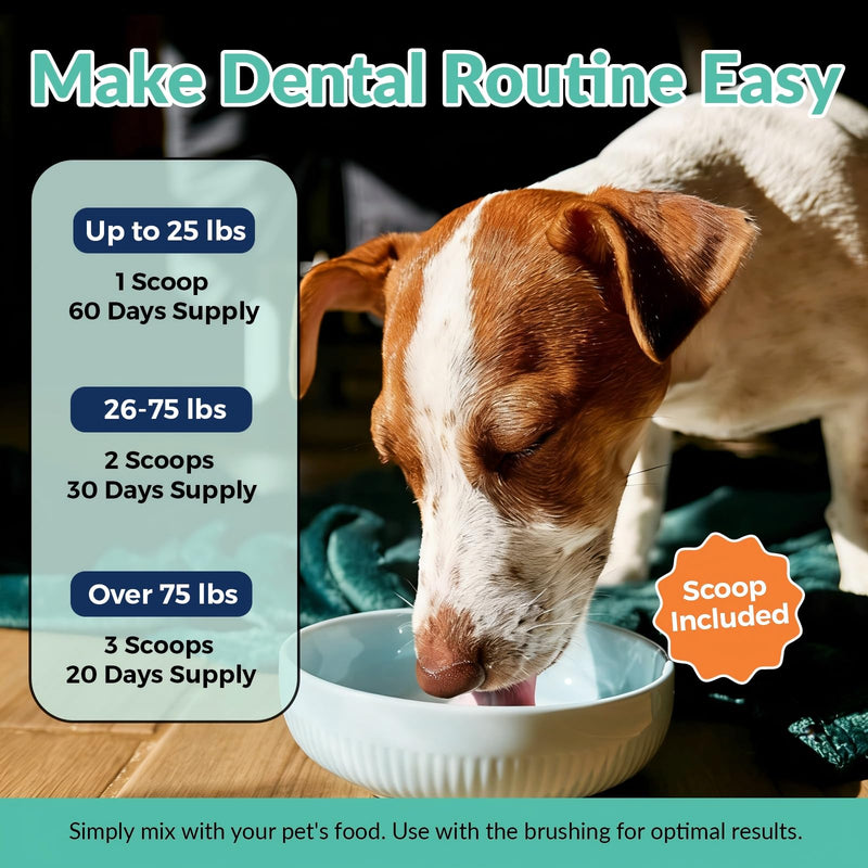 Dog Teeth Cleaning Powder - Dog Breath Freshener Dental Powder, Targets Tartar Remover, Bad Breath & Plaque Off, Natural Dental Care for Healthy Gums, for All Size Dogs, 174g