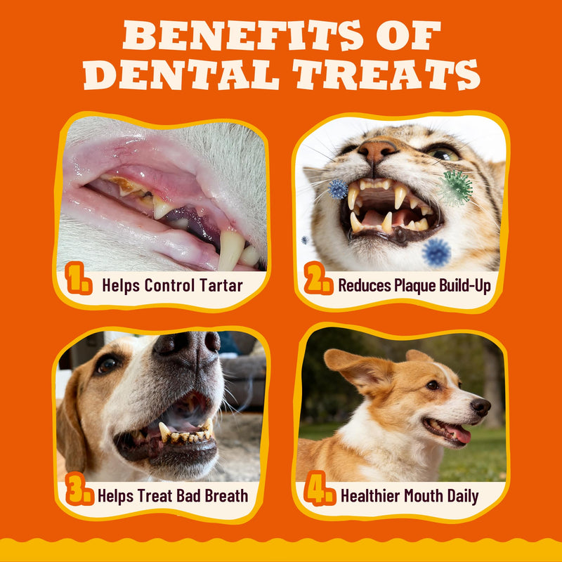 13.05oz Dental Treats for Cats & Small Dogs - Healthy Cat Teeth Cleaning Treats for Freshens Breath and Controls Tartar - Crunchy Dental Chews for Puppy Training Snacks