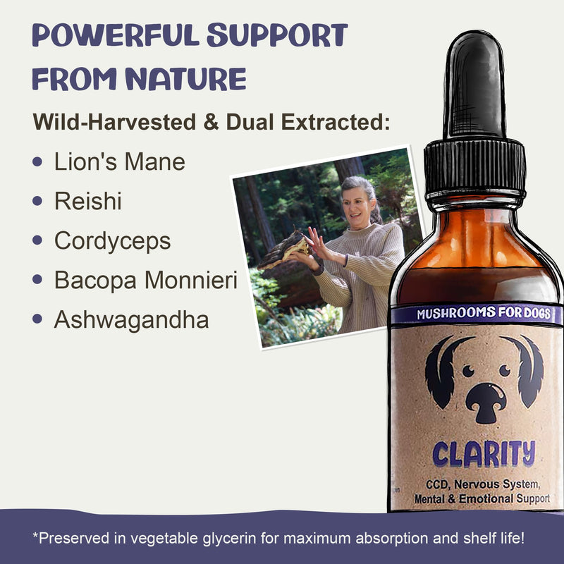 MycoDog Clarity - Cognitive Support Mushroom Supplement for Dogs - Brain Health, Memory & Focus Support with Adaptogens for Aging Dogs