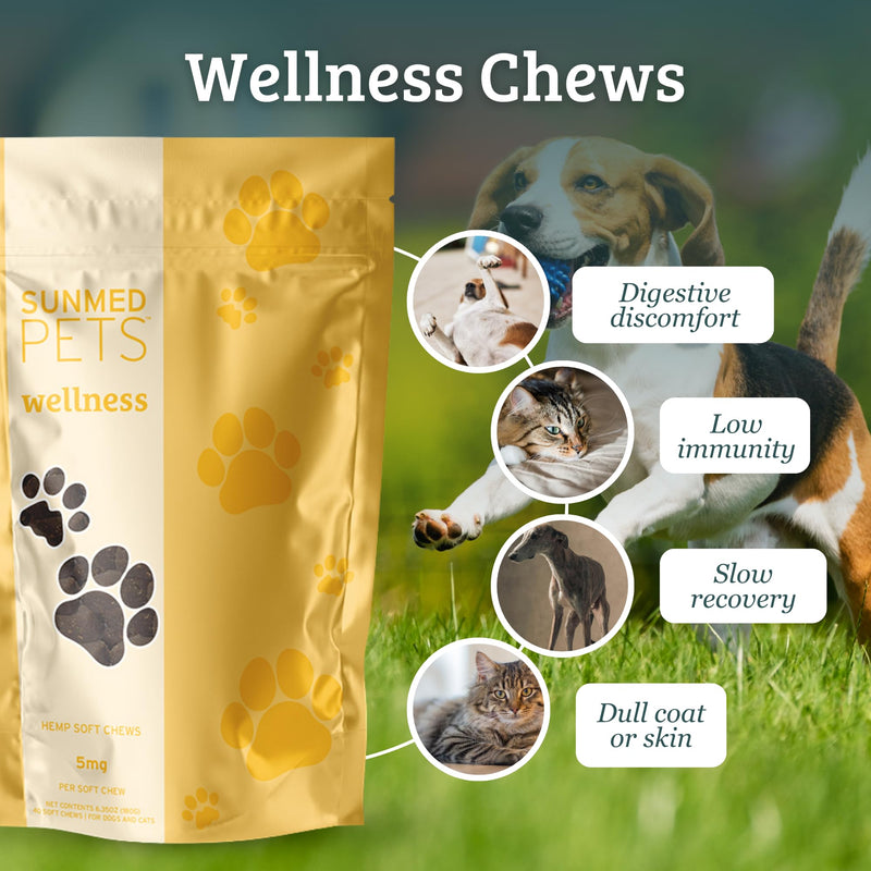 Sunmed Wellness Chew for Dogs with Pumpkin & Hemp Extract – Supports Digestive Health, Wellness & Balance – All-Natural, Safe & Tasty Chews for Dogs – 40ct Digestive Health Support Chews
