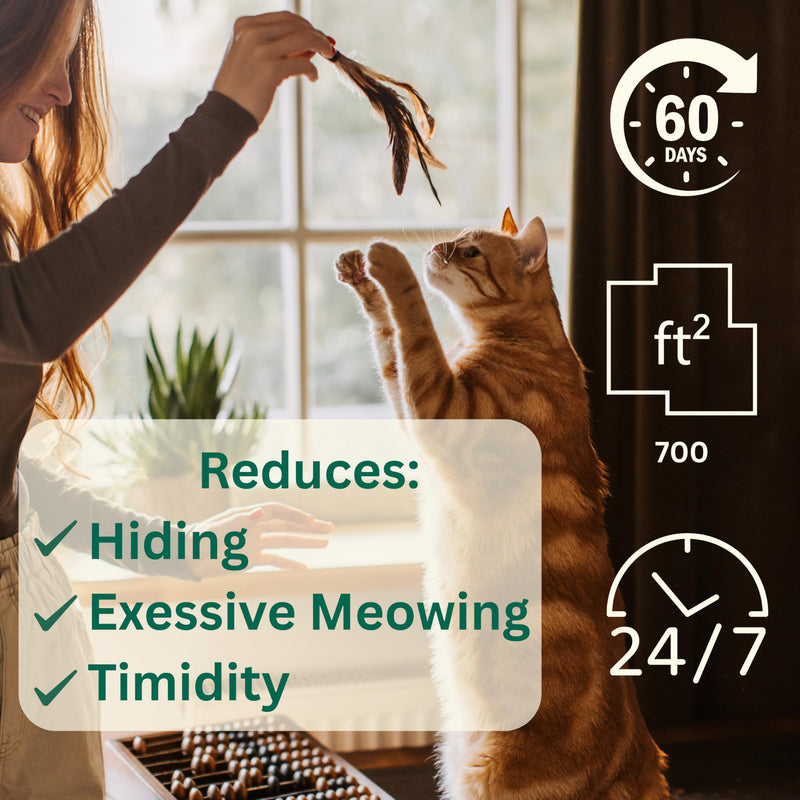 60-Day Cat Calming Pheromone Diffuser - Reduces Urine Spraying, Anxiety, Scratching & Meowing, Timer Modes to Extend Refill Life (2 Diffusers + 2 Refills)