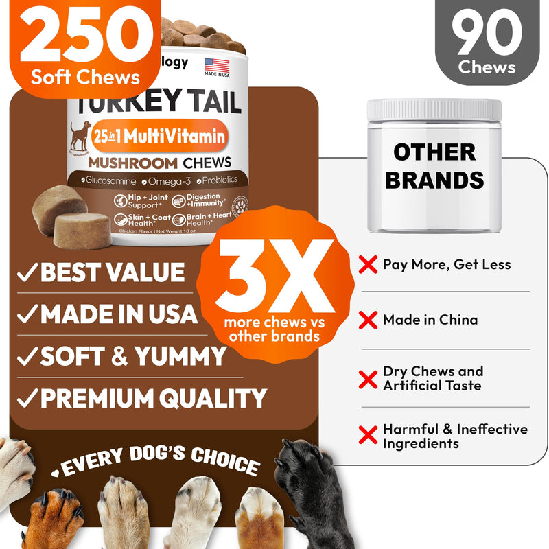 Turkey Tail Mushroom for Dogs - 250 Chews - Lion’s Mane - Shiitake - Reishi - Buddy Immune Support Guard - Lipoma Mushroom Supplement for Dogs Lumps and Bumps Glucosamine, Health Vitamins Multivitamin