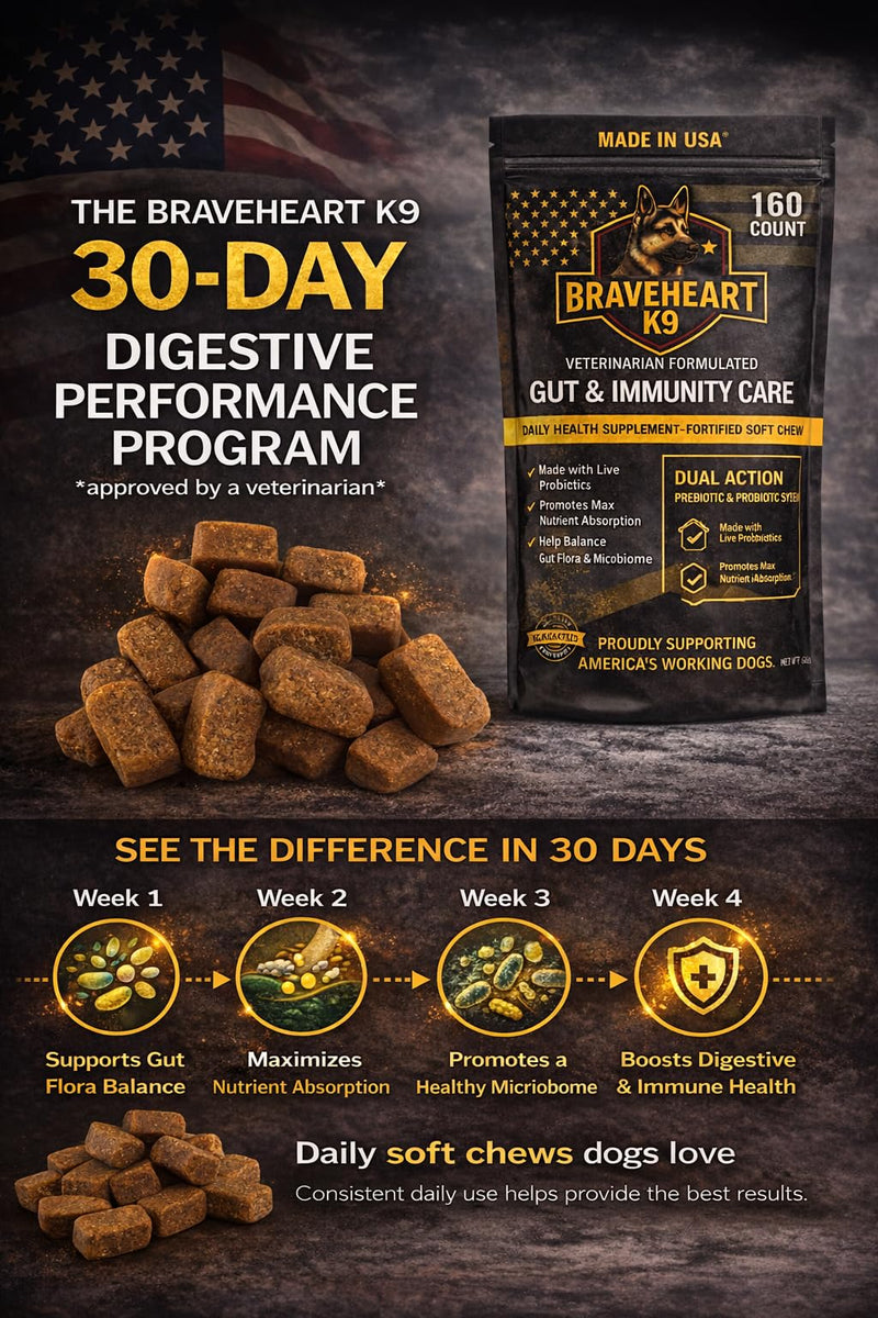 Braveheart K9 Gut & Immunity Care Dog Supplement, Veterinarian Formulated, Dual Action Prebiotic & Probiotic System, Fortified Soft Chew, 160 Count