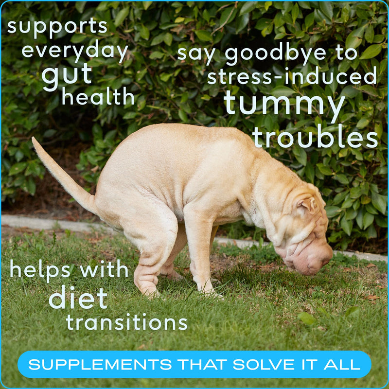 Native Pet Probiotic for Dogs & Omega Oil for Dogs| Vet Created Probiotic Powder for Dogs for Digestive Issues | 8 Oz. Omega Oil & 8 Oz. Probiotic - PawsPlanet Australia