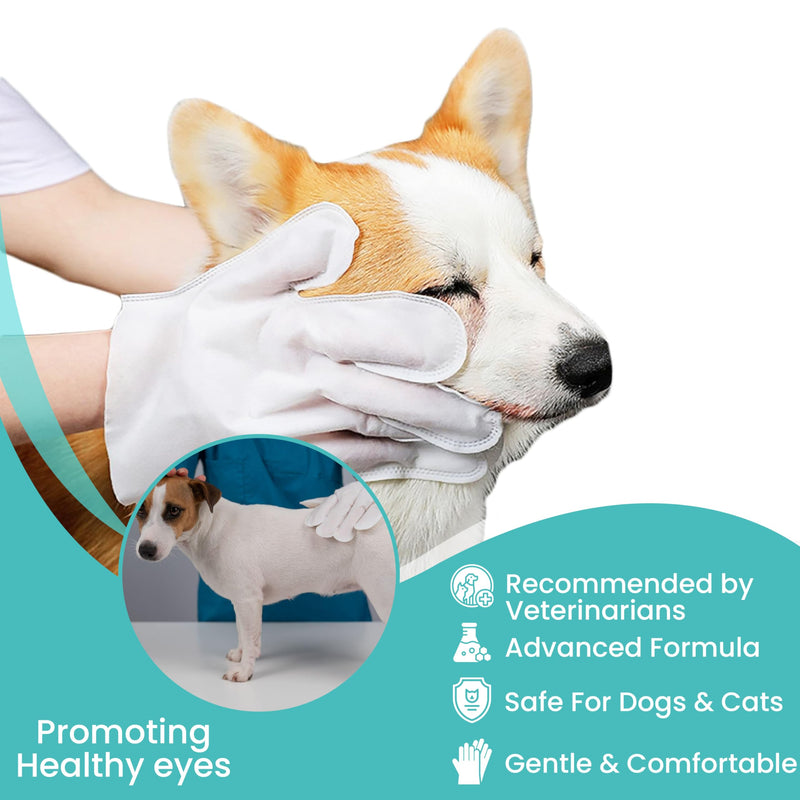 Dog Washing Gloves Pet Grooming Gloves – 10-Pack Pet Cleaning Gloves for Dogs – Natural Plant Fiber Dog Cleaning Wipes for Body, Ears, Tear Stain Wipes – Ideal for Travel, Outdoors - BeesActive Australia