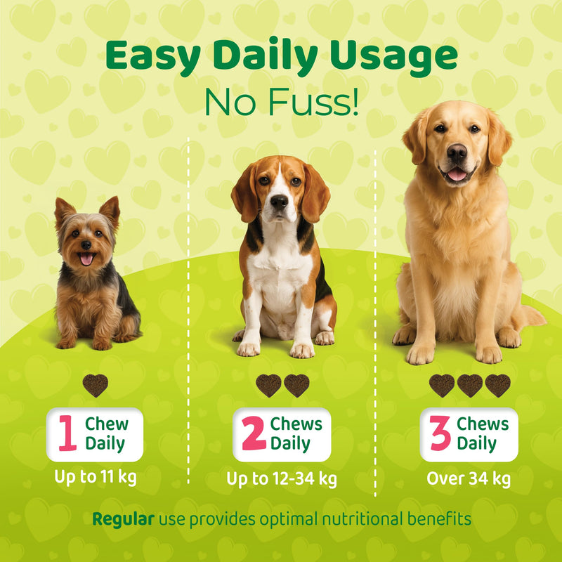 Multivitamins for Dogs – 120 Soft Dog Chews Packed with Vitamins & Minerals – Dogs Multivitamin for Vitality & Overall Wellness – Chicken Flavor Dog Treats for All Ages, Breeds & Sizes