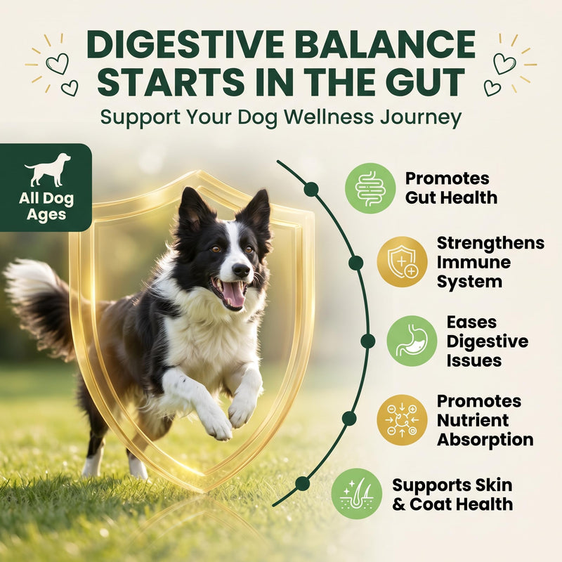 Probiotics for Dogs Digestive Health - 200 Chicken Flavored Chewable Tablets for Gut Health, Immune Support & Pumpkin, Papaya, Flaseed Power - Advanced Dog Probiotic Supplements