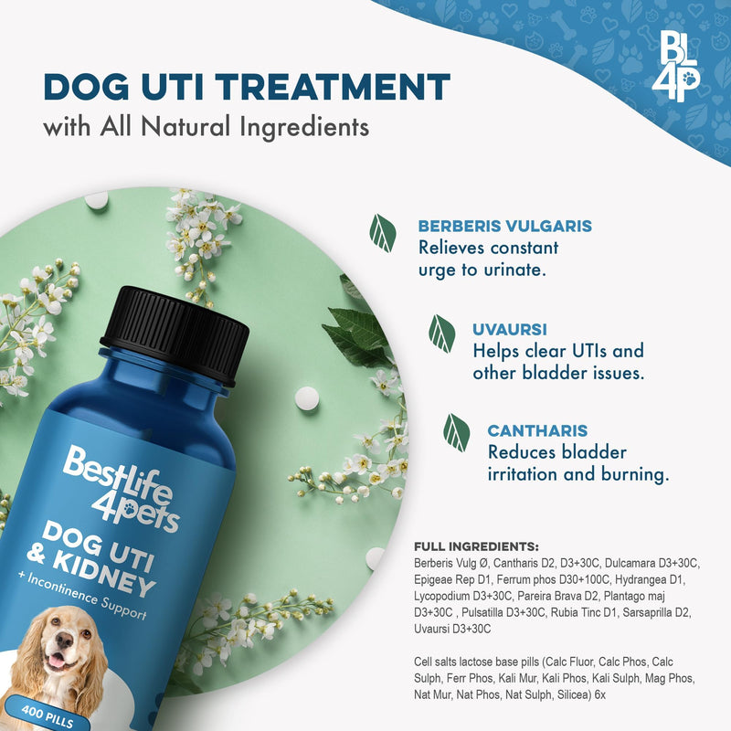 Dog UTI Treatment, Bladder & Kidney Support, Natural Incontinence and Bladder Control for Dogs Reduces Urinary Tract Infections and Dog Allergy Relief & Immune Support, Natural Holistic Itch Relief