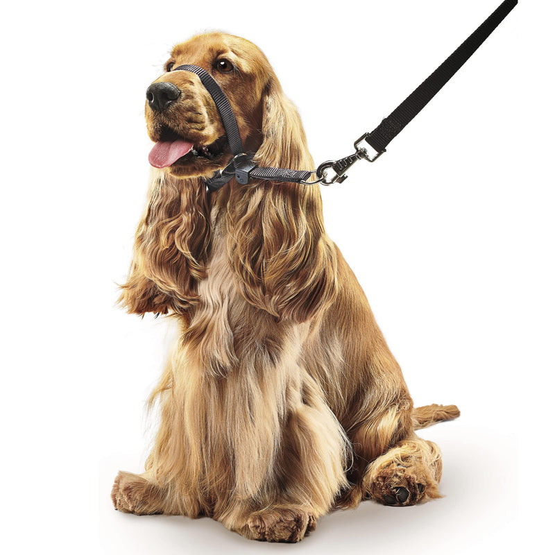 Beaphar | Gentle Leader | Head Collar for Medium Dogs | Stops Pulling On The Lead | Training Aid with Immediate Effect | Endorsed by Behaviourists | Black x 1 - BeesActive Australia