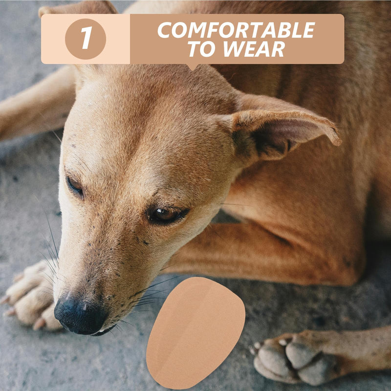 VANZACK 10x5cm Extra Large Doberman Ear Posting Stickers - Medical Grade Support System with Adhesive Backing for Adult Dog Ear Training & Care 10.00X5.00X0.10CM