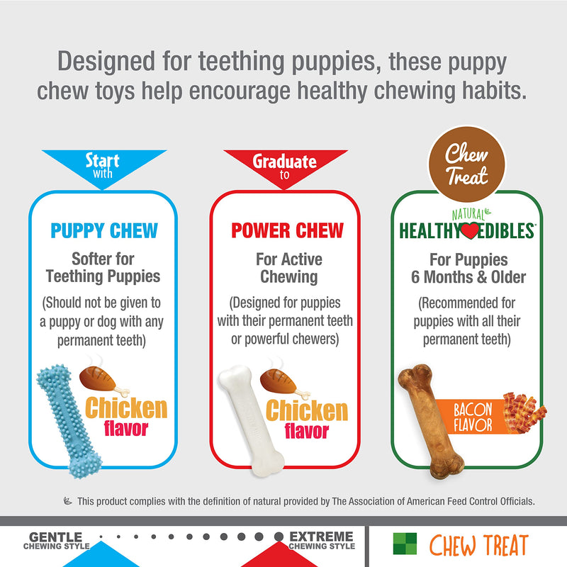 Nylabone Puppy Triple Pack - Blue Puppy Teething Toy, Nylon Dog Toy, & Chew Treat Variety Pack - Puppy Supplies - Chicken and Bacon Flavors, Small/Regular (3 Count) Small/Regular (3 Count) - BeesActive Australia