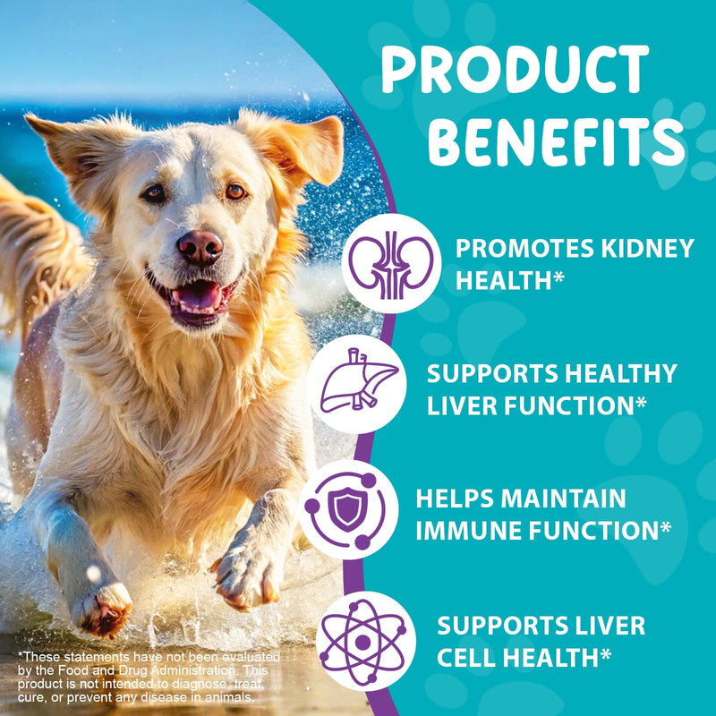 Milk Thistle for Dogs | 60ml Liquid Supplement with Curcumin & Omega-3s | Supports Normal Liver Function, Kidney Health, and Natural Immune Defences | Gentle Botanical Formula for Daily Vitality milk thistle liver detox
