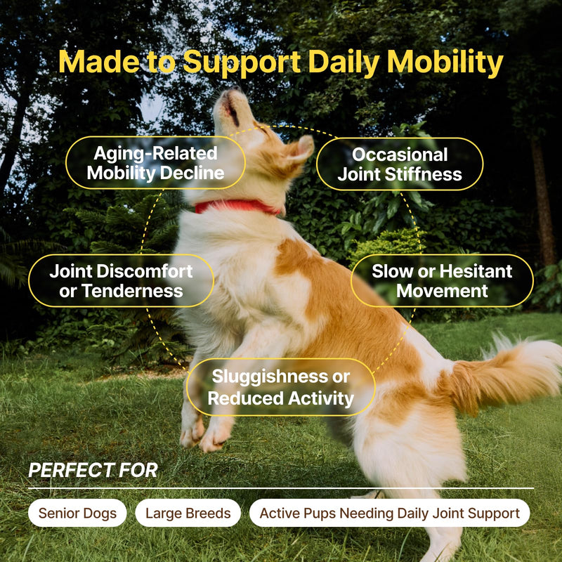 PENPENPET Hip and Joint Supplement for Dogs with Glucosamine for Dogs Chondroitin, MSM, and Turmeric to Support Joint Health, Promote Mobility (Chicken Chews, 180ct)