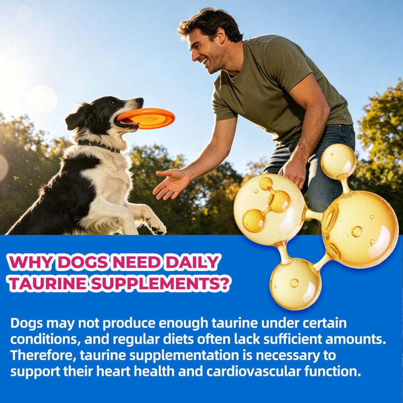 Just Try Taurine for Dog Bites 23-in-1 Multivitamin Chondroitin Sulfate for Joint Health, Omega-3 for Skin Support Dog Vitamins Supplements-10.58oz