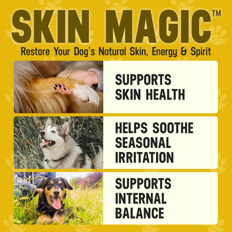 Better Dog Supplements by Cesar Millan® Skin Magic – Natural Skin and Coat Supplement for Dogs Irritation from Seasonal Factors, Hot Spots, & Itch Relief Dog Skin Supplement – 4oz (60-Day Supply)