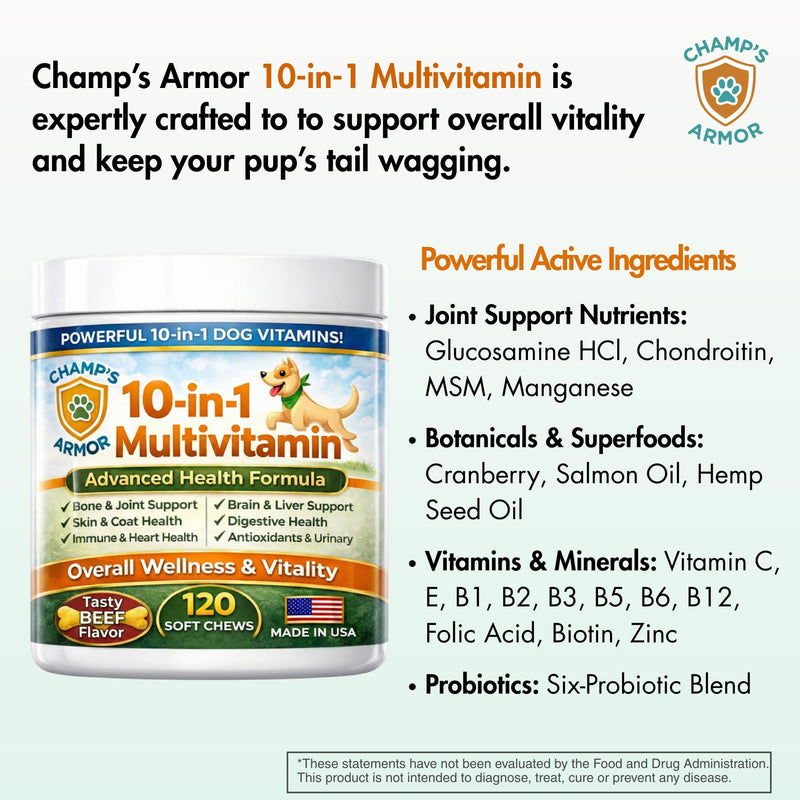 Dog Multivitamin 10-in-1 with Glucosamine - Hip Joint Support, Skin & Coat, Digestive Health, Immune Boost - Salmon Oil, Probiotics, MSM - All Natural Daily Chews for Dogs All Breeds - 120 Count